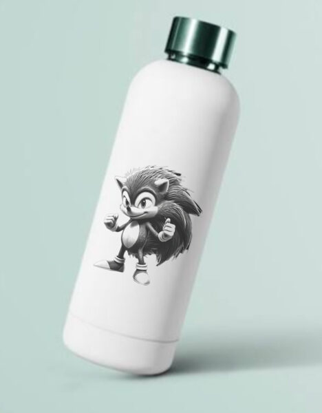 Sonic waterbottle