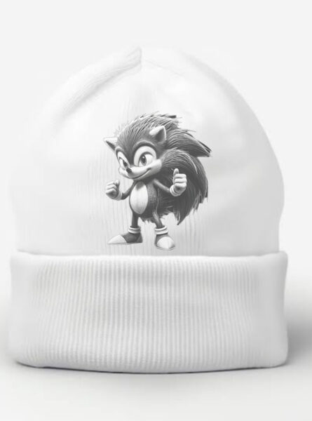 Sonic the hedgehog